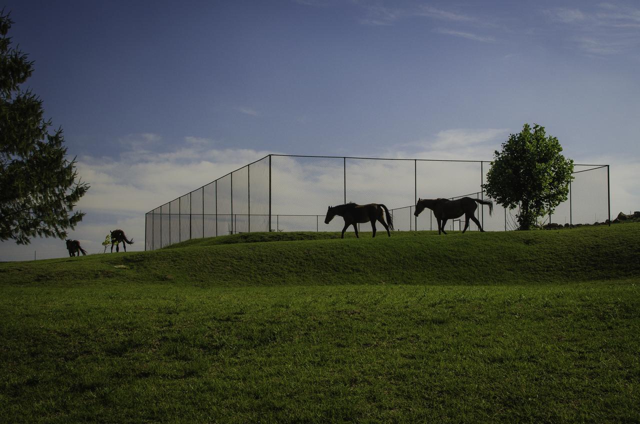 Gooderson Kloppenheim Country Estate Ξενοδοχείο Machadodorp Εξωτερικό φωτογραφία